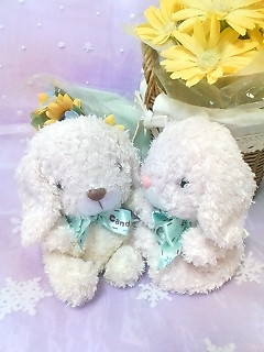 ���̂��Ƃˁ[����